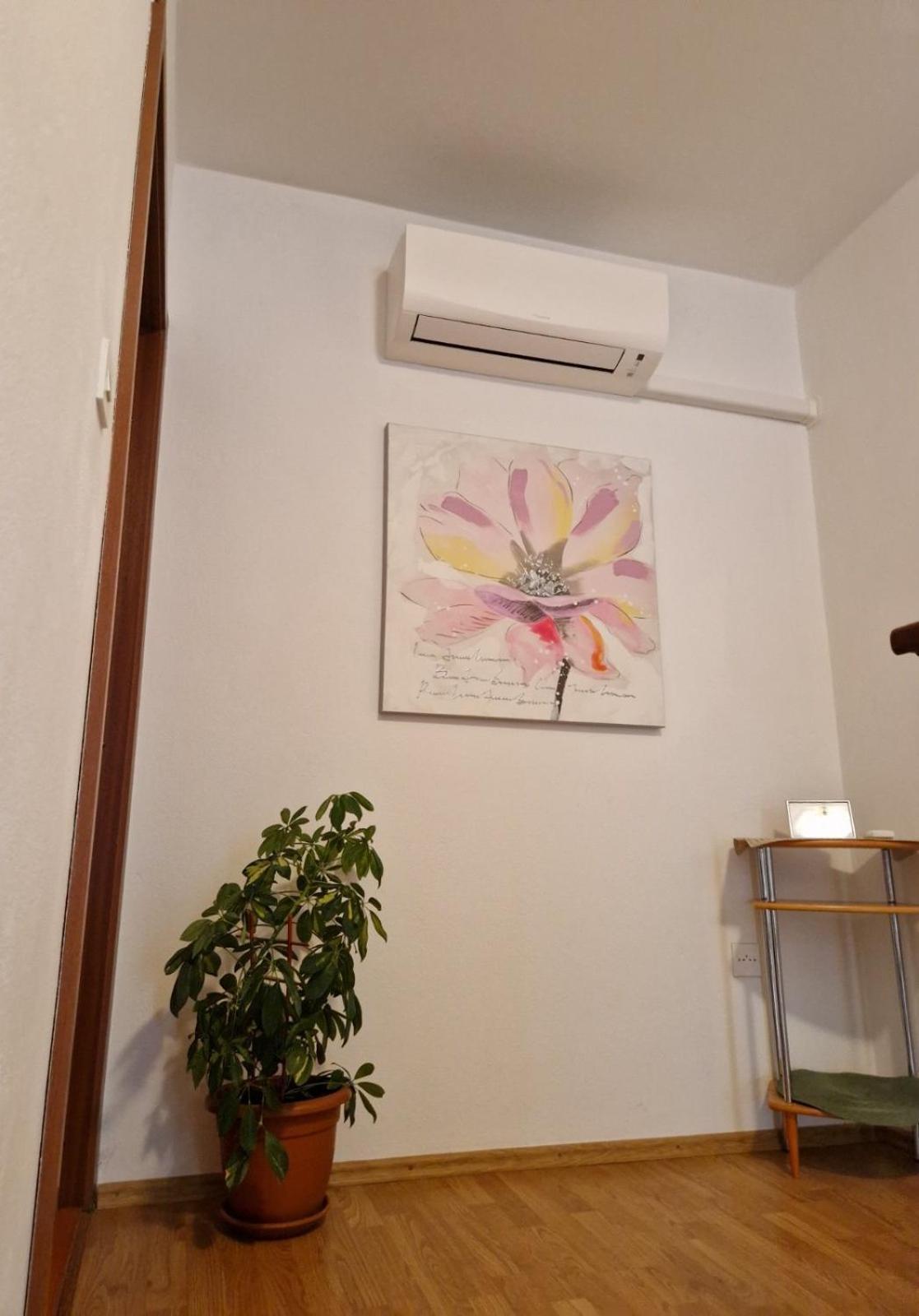 Apartman Seka 클랄제비카 외부 사진